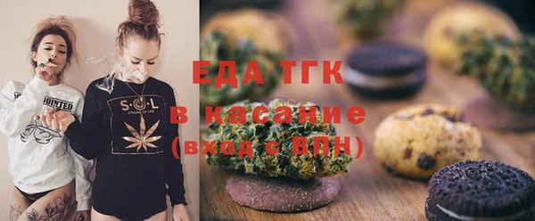 гидра Долгопрудный