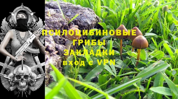 прущая мука Михайлов