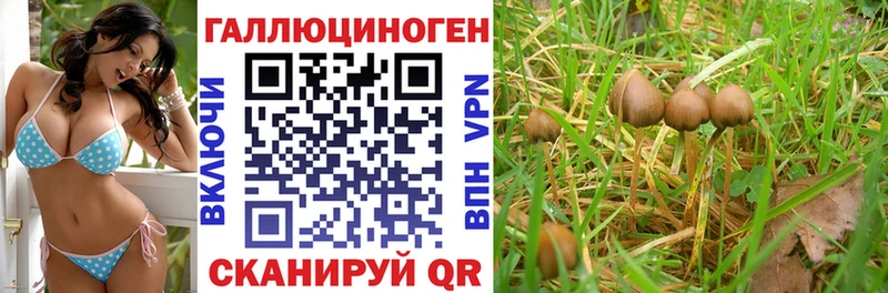 Галлюциногенные грибы мухоморы гидра зеркало Ступино