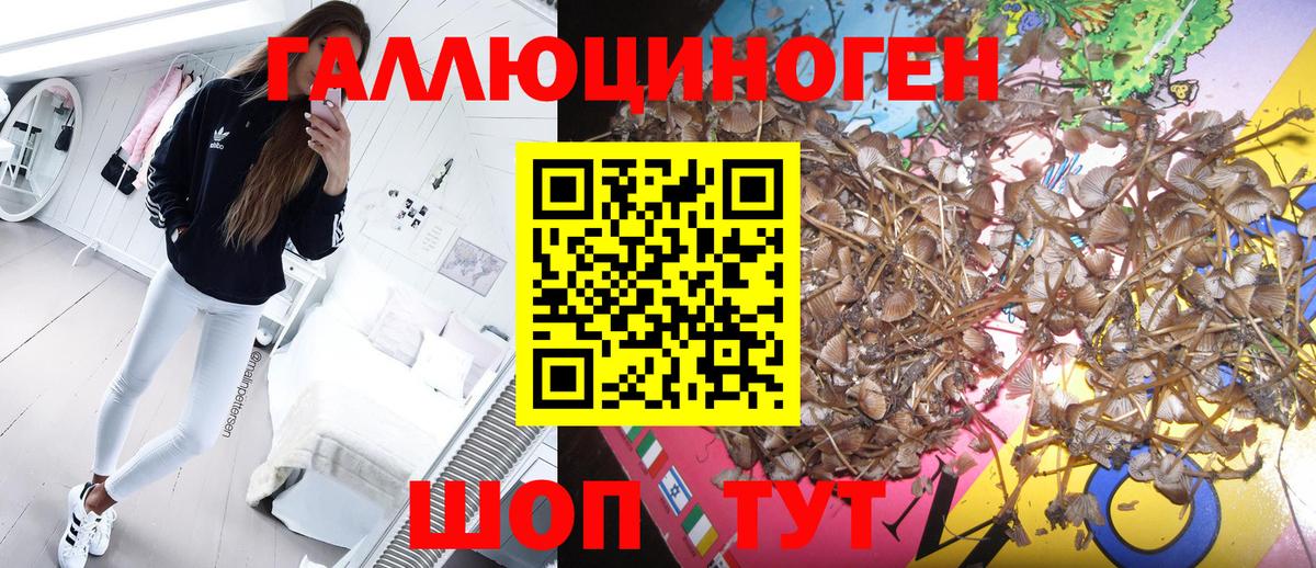 Галлюциногенные грибы GOLDEN TEACHER Ступино